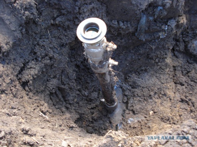 Вы все еще верите, что электромобили спасут Землю? Заказуха от "нефтяников"