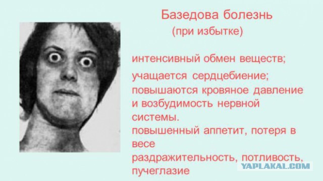 История одного айфона