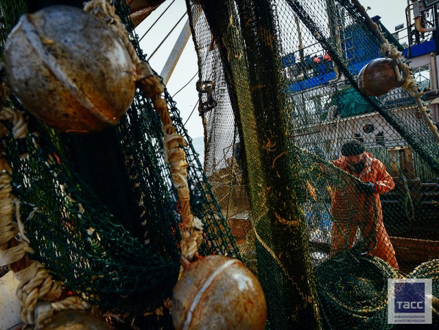 Рыбаки в Японском море: Прибрежный промысловый лов минтая в заливе Петра Великого в Приморском крае