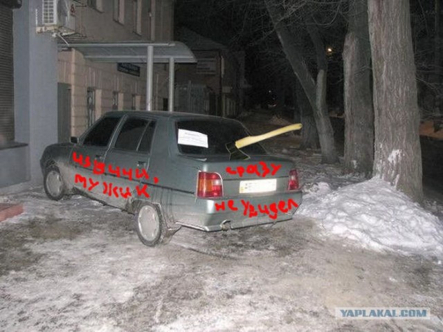 Водители тоже бывают вежливыми