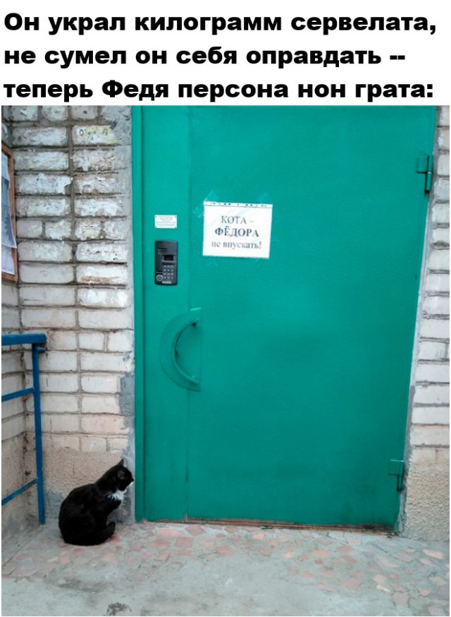 Вижу рифму!