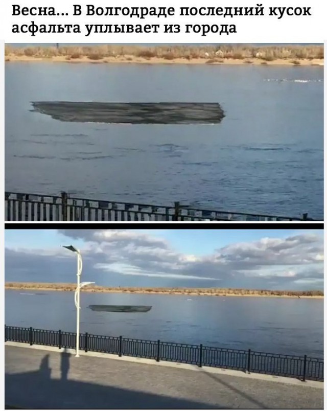 Приколы в картинках или прикольные картинки?