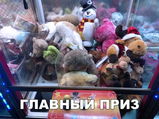 Нестандартный юмор