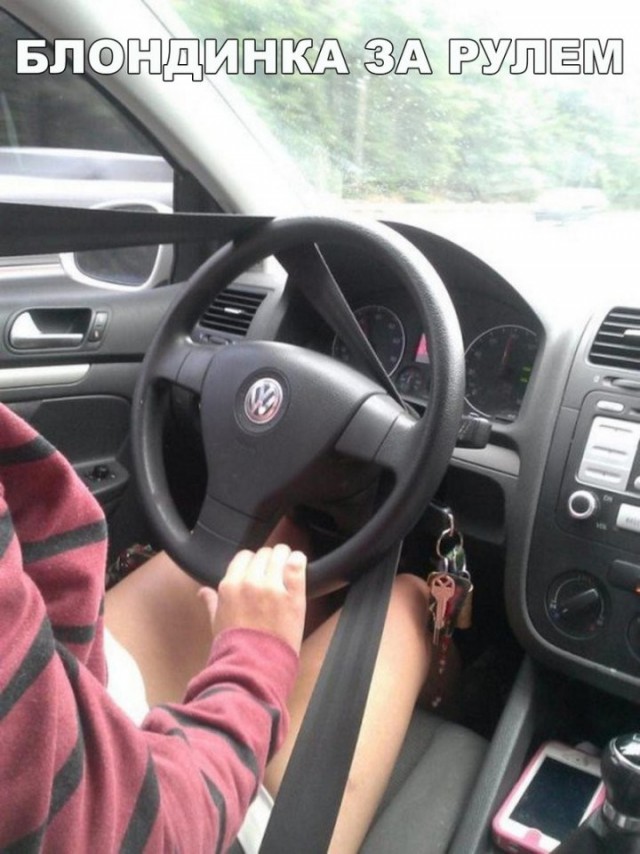 Лента прикольных картинок