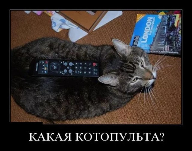 В Париже сейчас так!