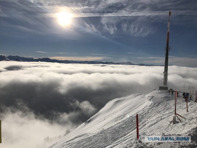 Первое января 2019: фото выживших