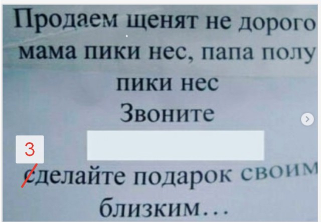 Поколение ЕГЭ