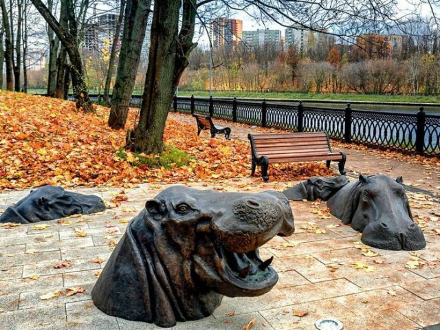 Фотоинтересности