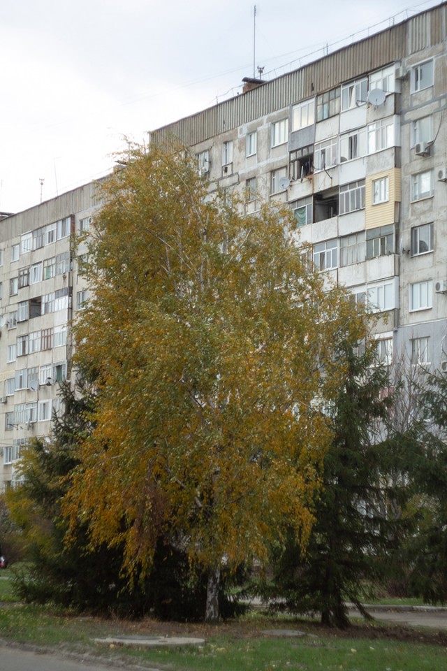 Как в 30+ стать специалистом во всем понемногу, но ни в чем толком на примере разработки квеста