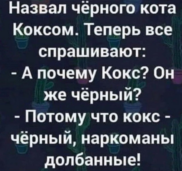 Бредзона 13.07.20