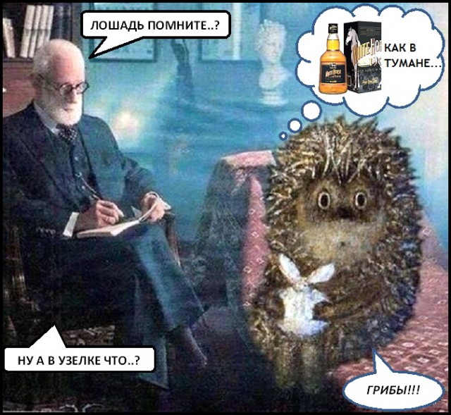 Маленькие ёжики
