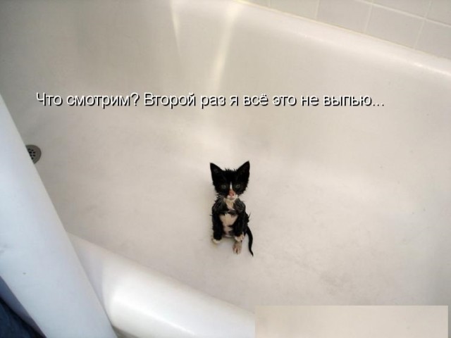 Старые картинки, продолжение
