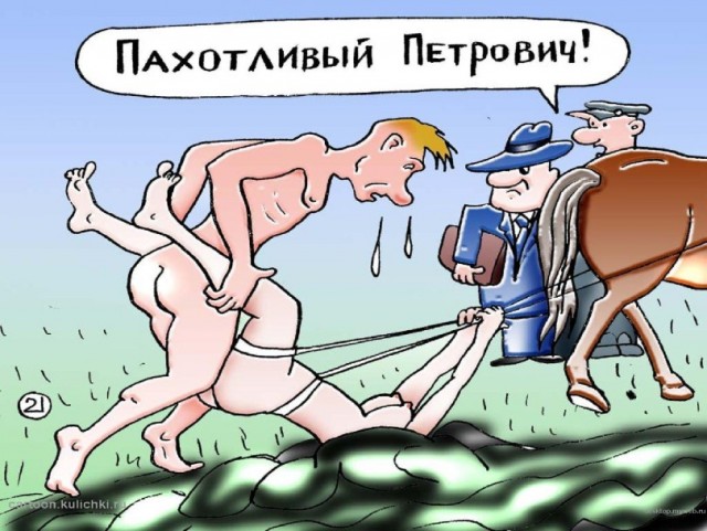 Баянисто-небаянистый юмор 7.11.20