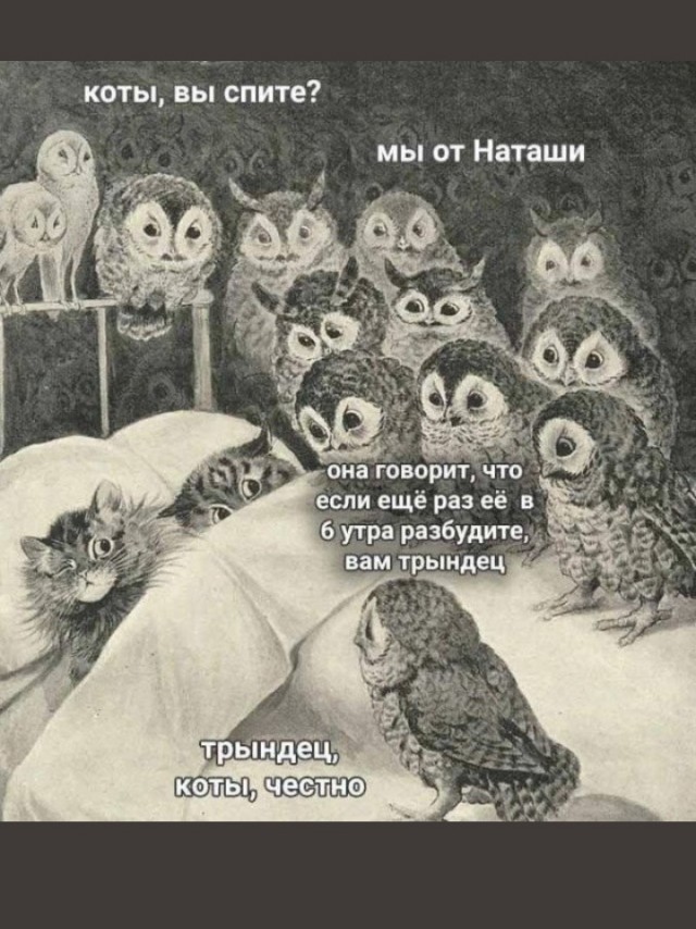Картинки и мемы для настроения 015