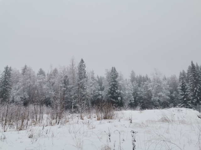 Двойные стандарты