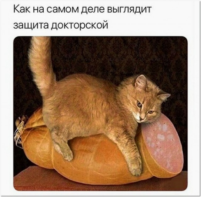 Картинки с надписями и всякие жизненные фразы 14.1.21