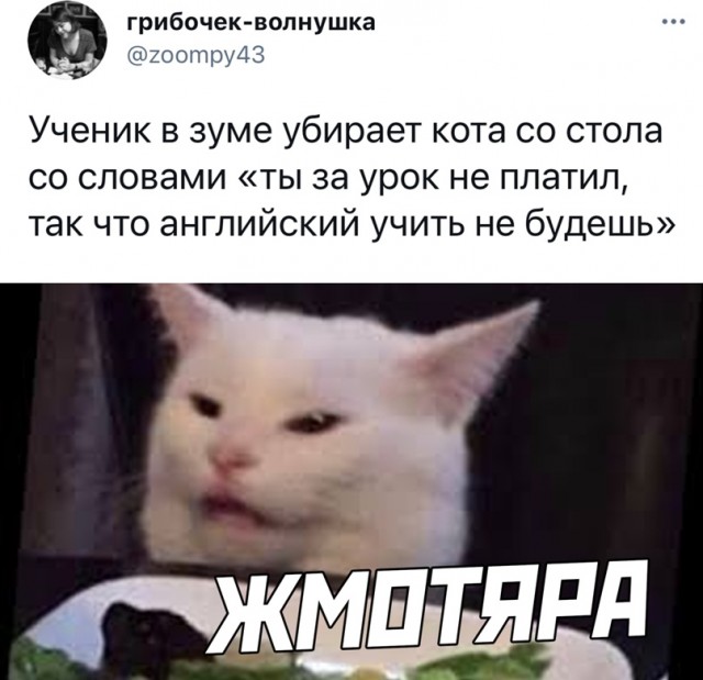 Весёлый полтишок 22.03