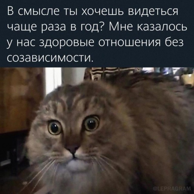 Картинки и мемы для настроения 020