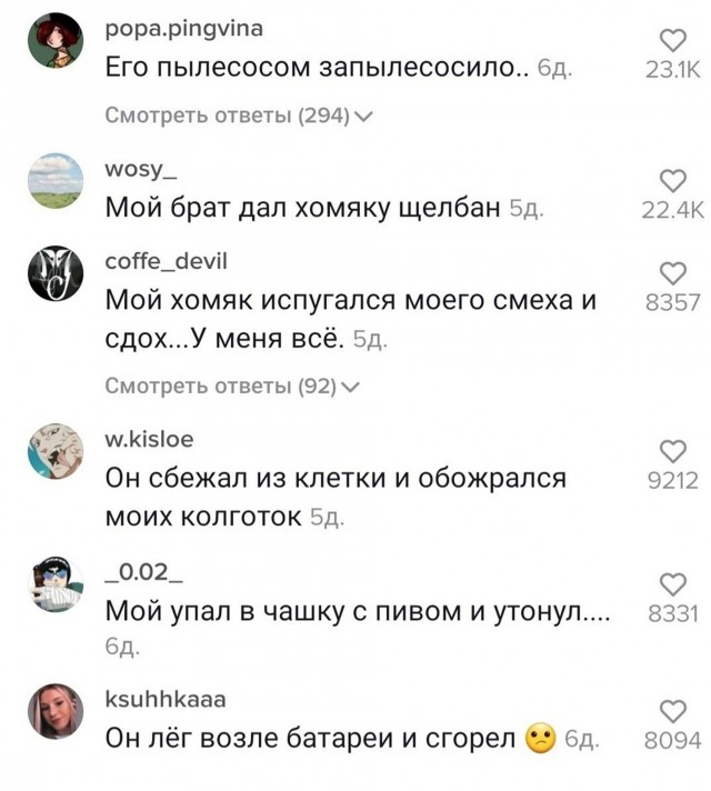 Нелепые и жуткие смерти хомяков