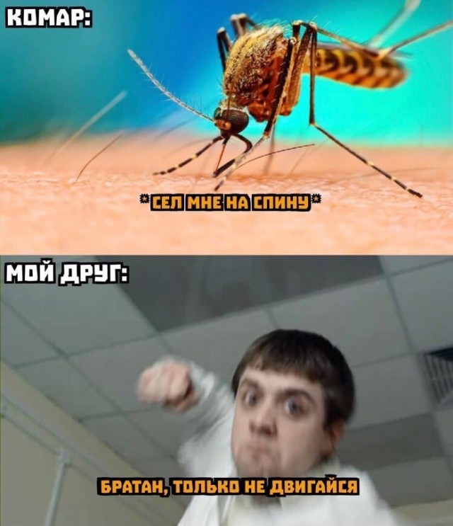 Весёлый полтишок 1.07