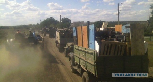 Как проходит курортный сезон на Азовском побережье в ДНР
