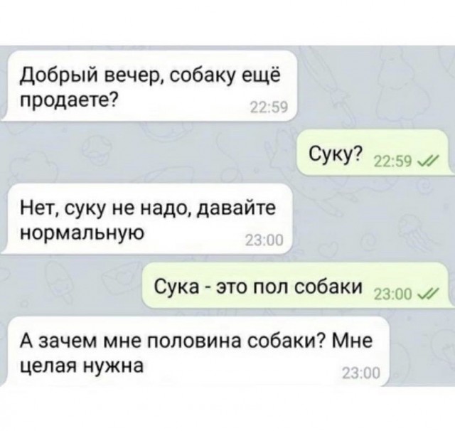 Картинки и мемы, всем прекрасных выходных
