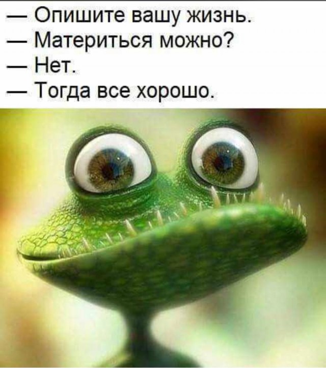 Картинки и мемы, всем прекрасных выходных