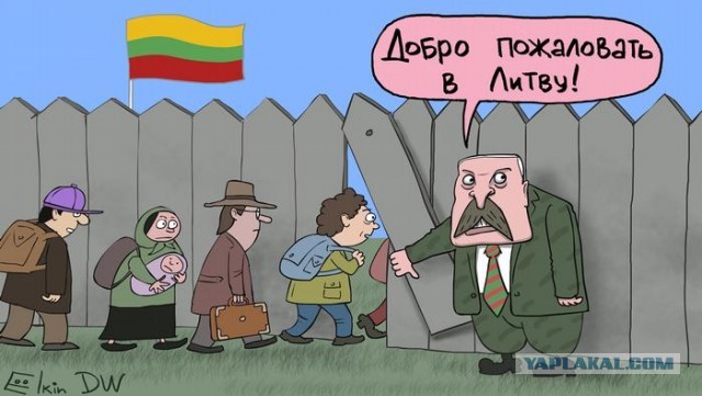 Мигрантам на границе предложили попросить убежища в Беларуси или вернуться домой