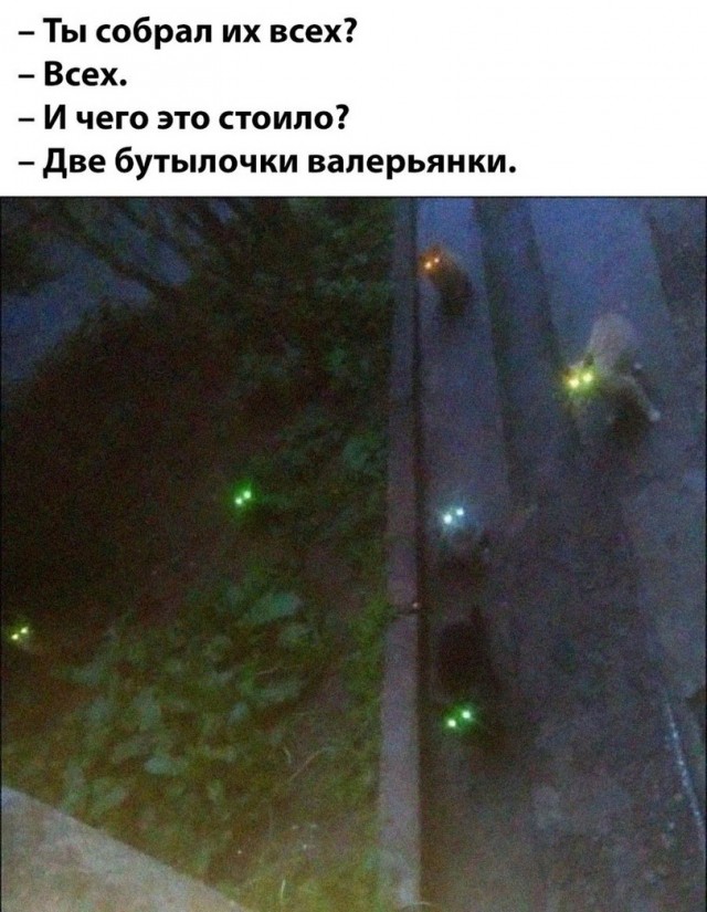 Калейдоскоп картинок
