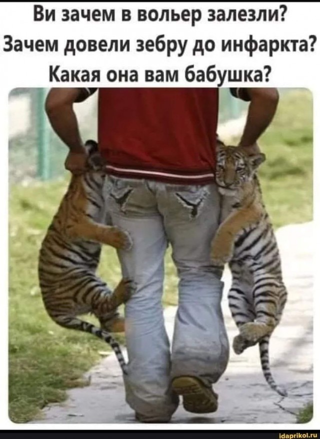 Картинки на 30.12.2021