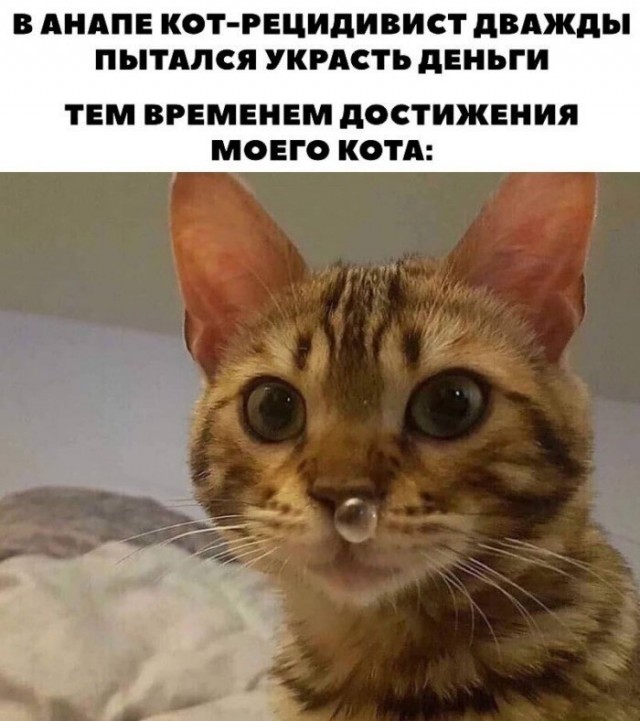 Куда же все так пристально смотрят? Тема сильной зависти.