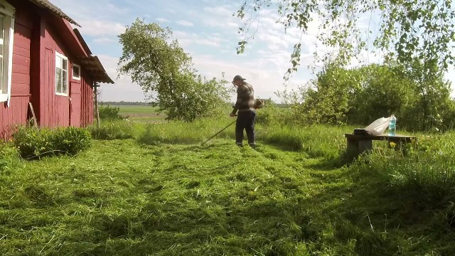 Что-то домой захотелось, в деревню мою