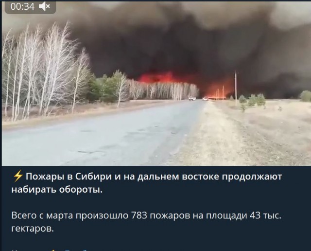 Пандемия. Коронавирус и съехавшие крыши. Россия и мир. Часть 33.