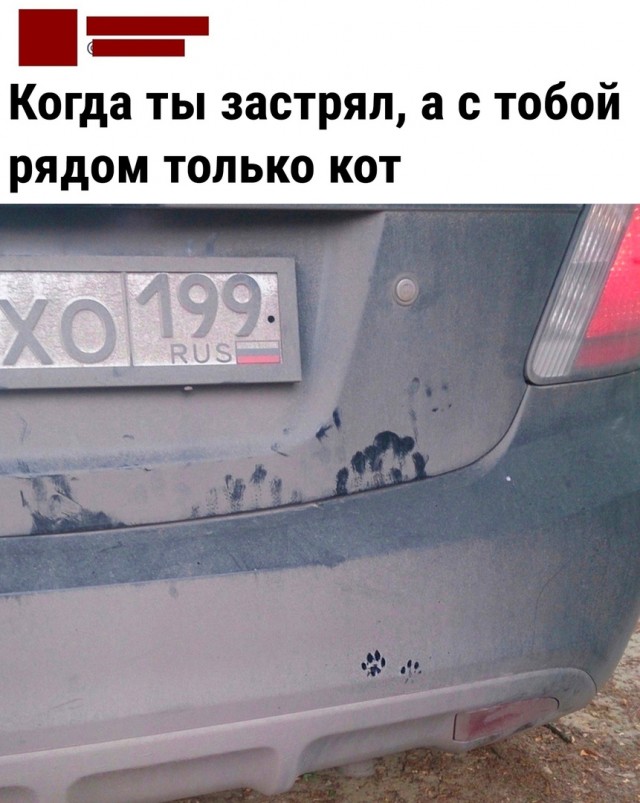Так себе картинки 23.06.22