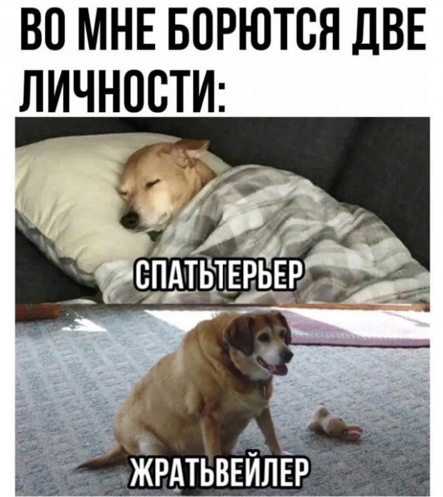 Картинки с надписями 02.07.22