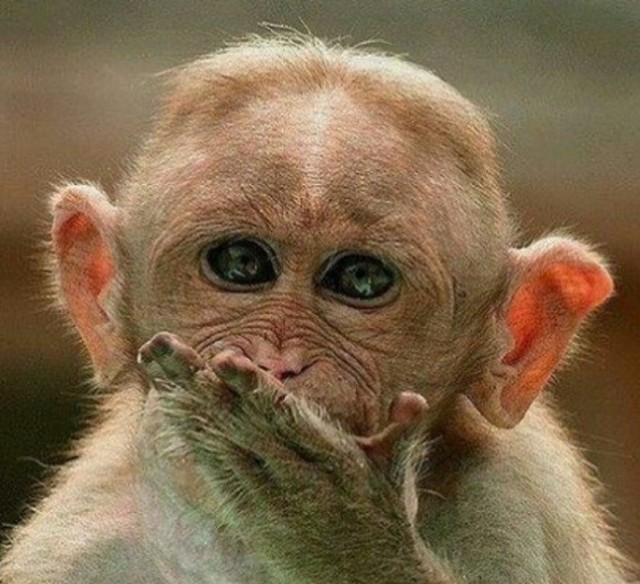 Два мнения о мужчинах 40+