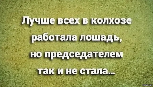 Расскажу вам про брата долбо*бика