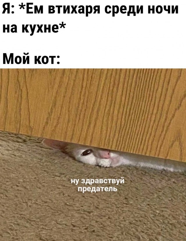 Немного мемчиков. Для взрослых 18+. Часть 11