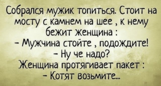 В Нижнем Новгороде женщина сбагрила питомца в котокафе и обиделась на его владельцев — теперь сама заплатит 200 тыс