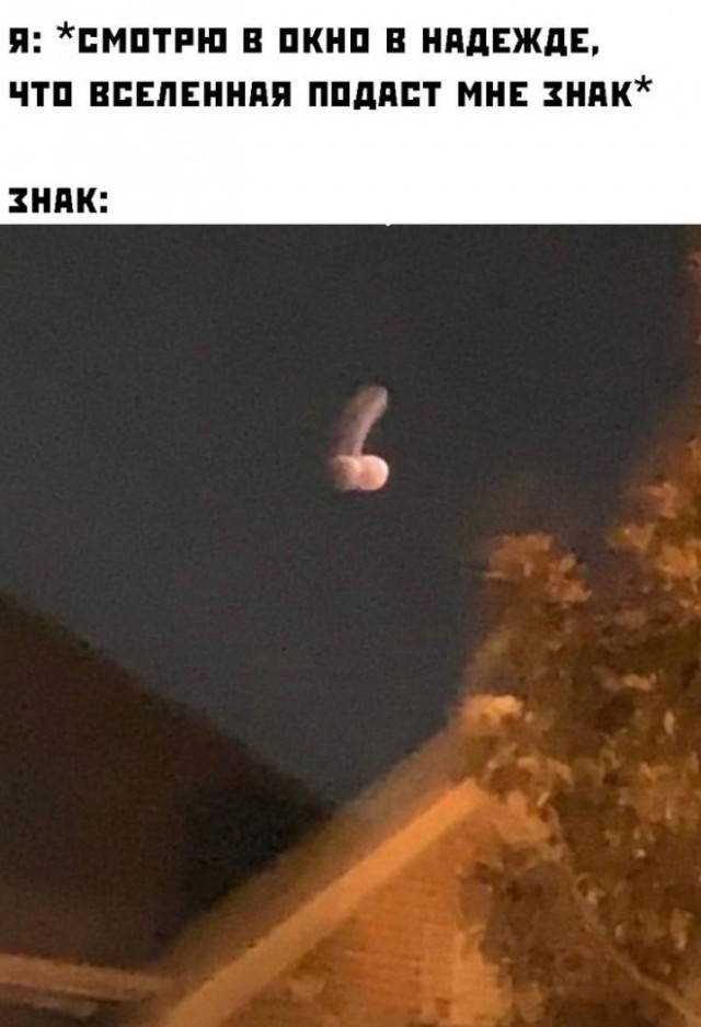 Так себе картинки 19.09.22