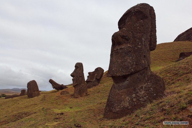 Южно-Американский дневник. остров Пасхи