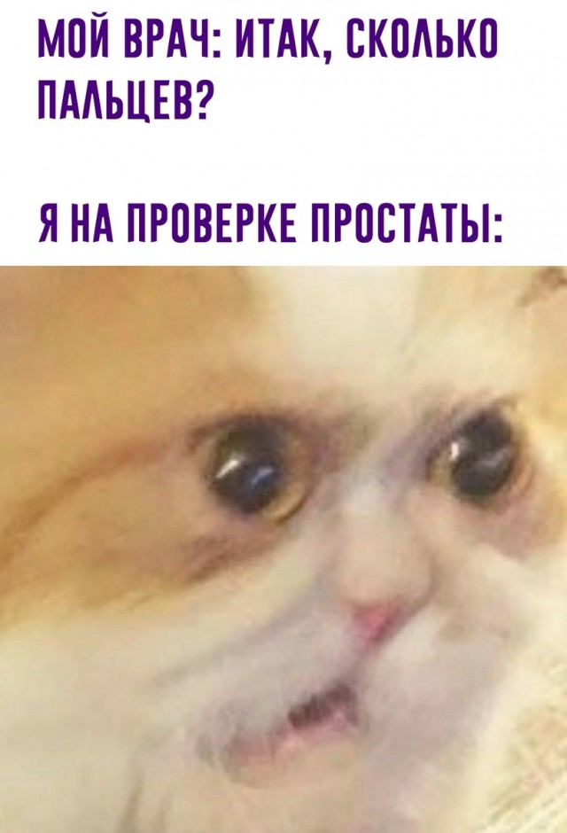 Весёлая проктология для деградантов