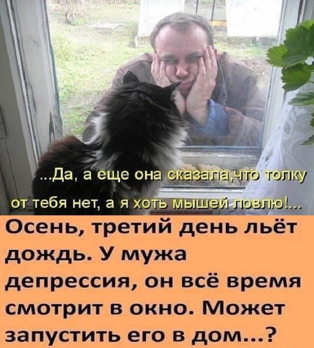 Немного картинок для настроения