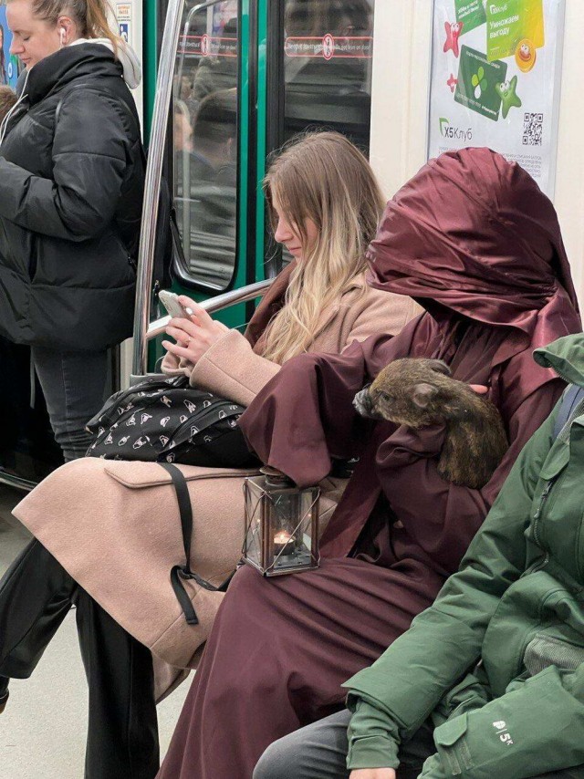 Прикольные и просто красивые картинки 20.01.2023