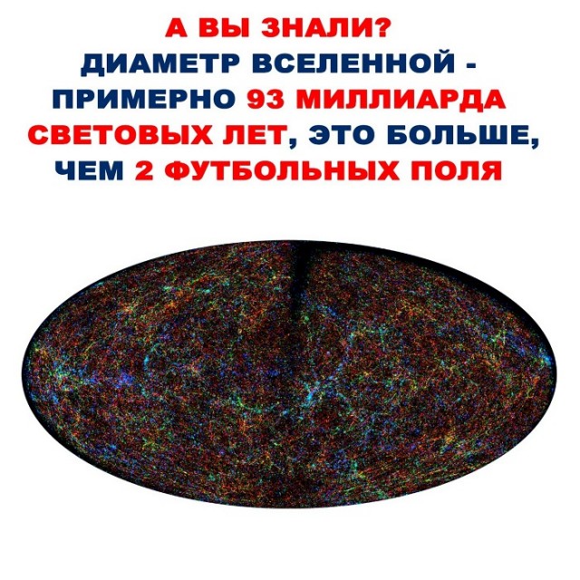 Весёлый полтишок 31.01.23