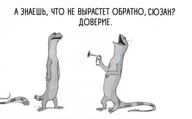 Подборка картинок 04.05.2023