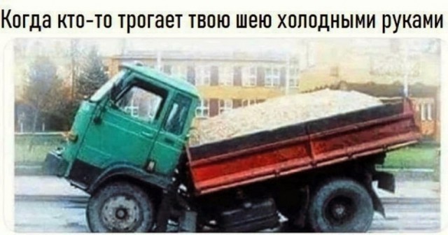 Подборка картинок 05.05.2023