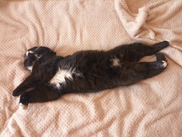 Кузя