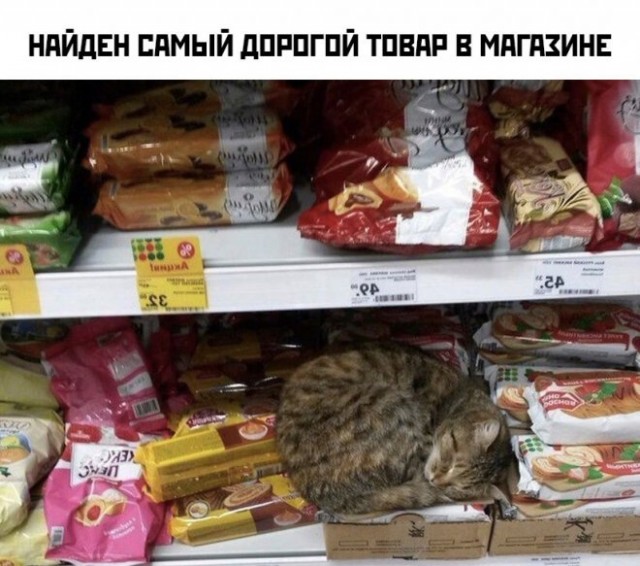 Картинки и мемы, всяко разно - 183