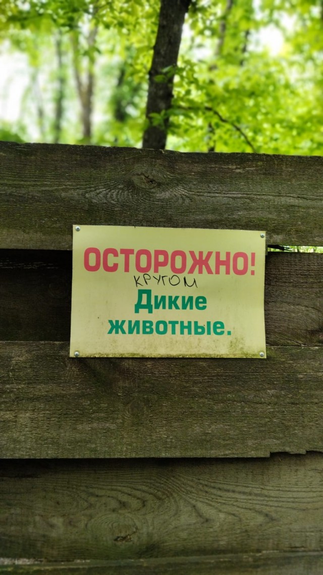 "Не кормите животных" билборд. Кто угадает смысл?